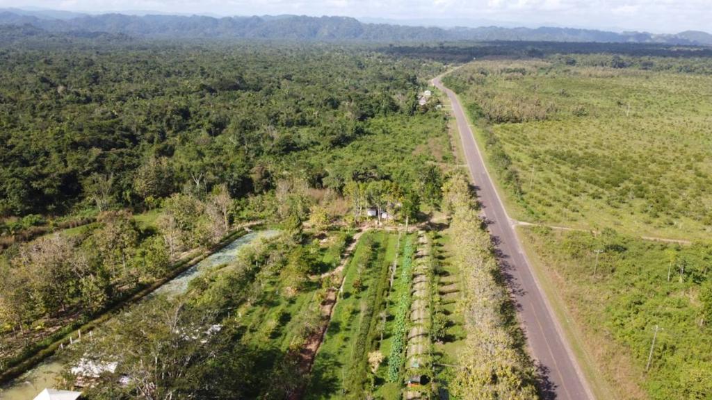 listing image with ID 64981