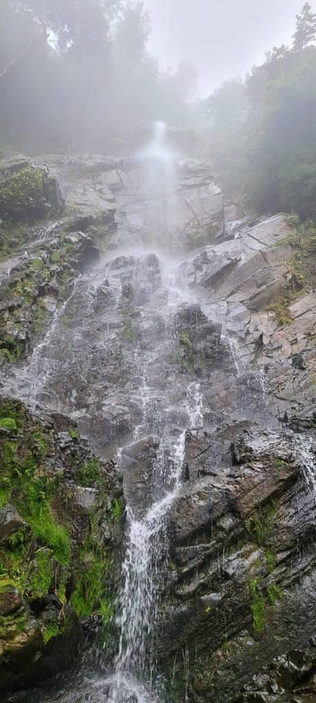 listing image with ID 63913