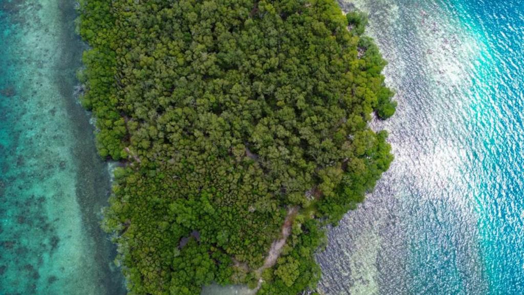 listing image with ID 65084