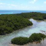 listing image thumbnail with ID 63564