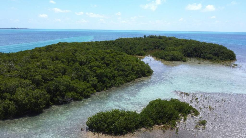 listing image with ID 63564