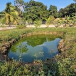 listing image thumbnail with ID 64942