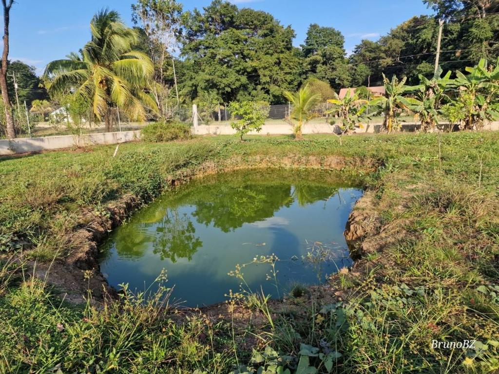 listing image with ID 64942