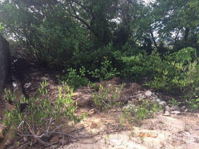 listing image with ID 65917