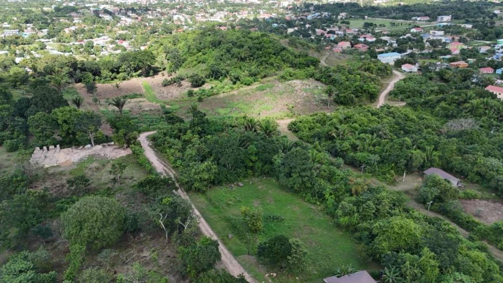 listing image with ID 68222