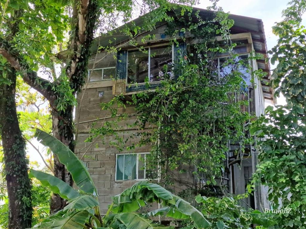 listing image with ID 64091