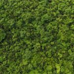 listing image thumbnail with ID 67087