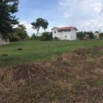 listing image thumbnail with ID 67043