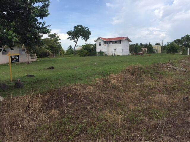 listing image with ID 67043