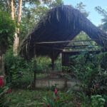 listing image thumbnail with ID 66879