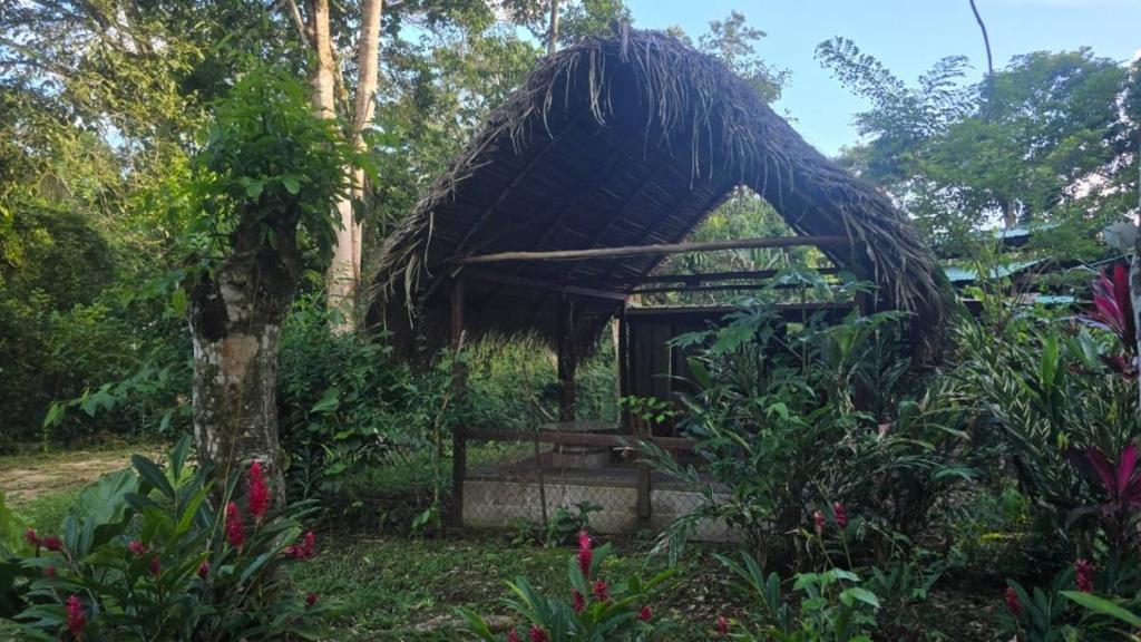 listing image with ID 66879