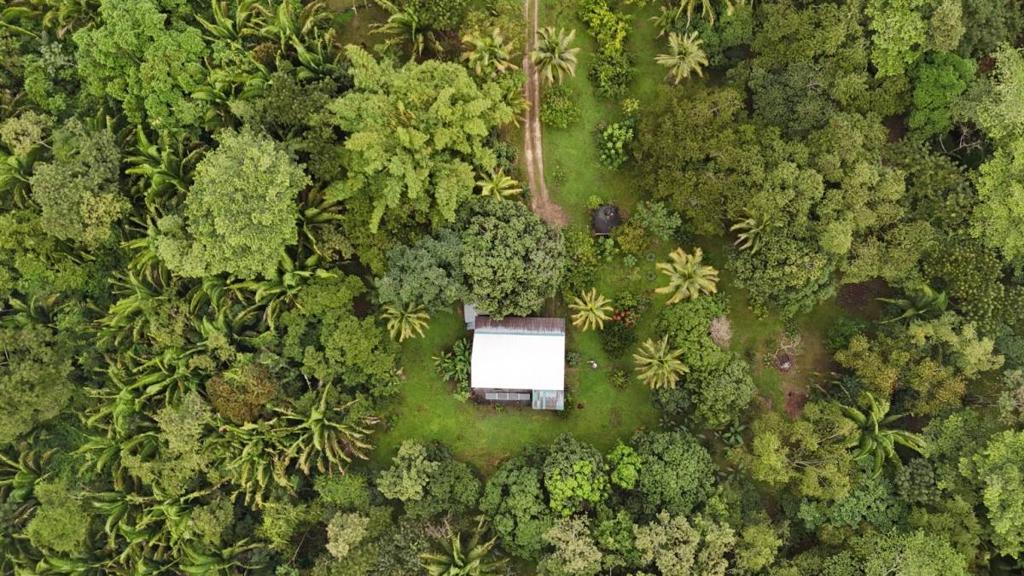 listing image with ID 65261