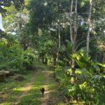 listing image thumbnail with ID 66899