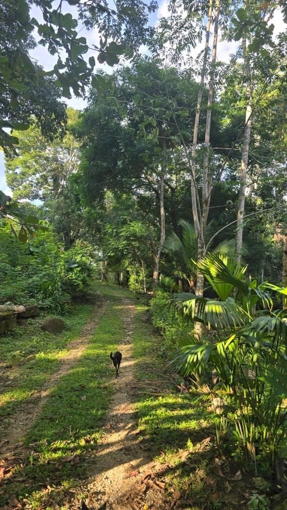 listing image with ID 66899