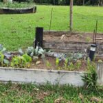 listing image thumbnail with ID 67368