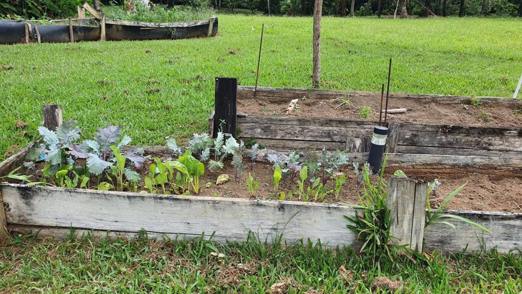 listing image with ID 67368