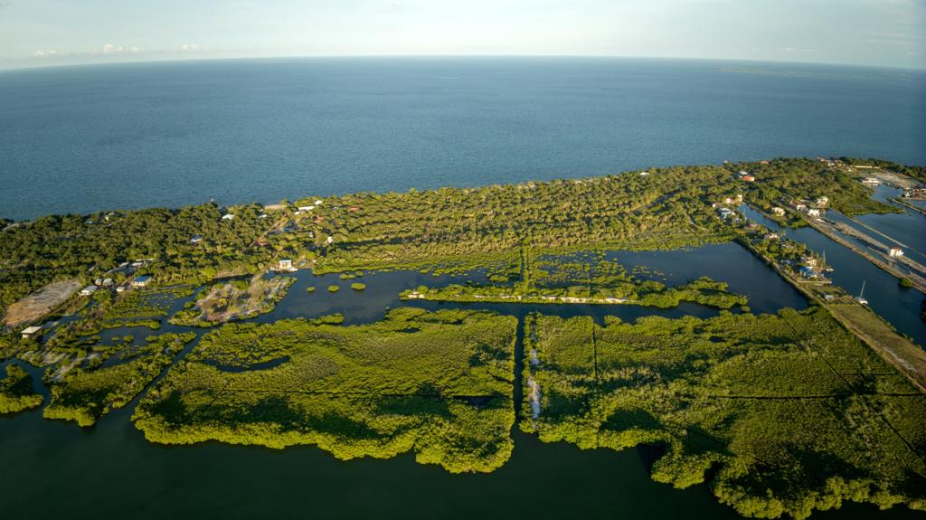 listing image with ID 68734