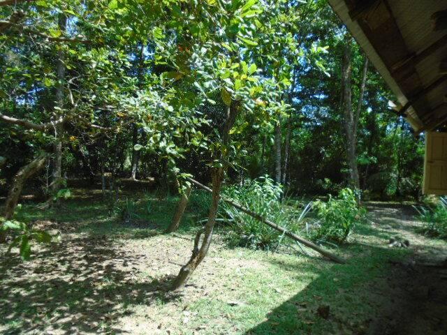 listing image with ID 64805