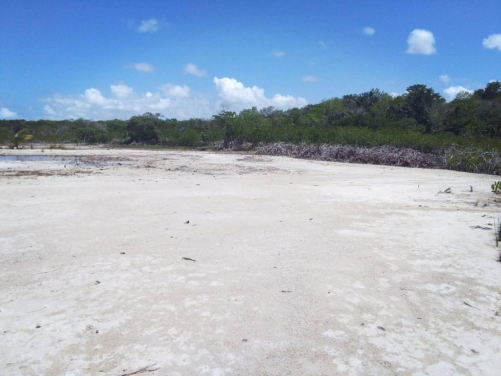 listing image with ID 64417