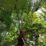 listing image thumbnail with ID 63967