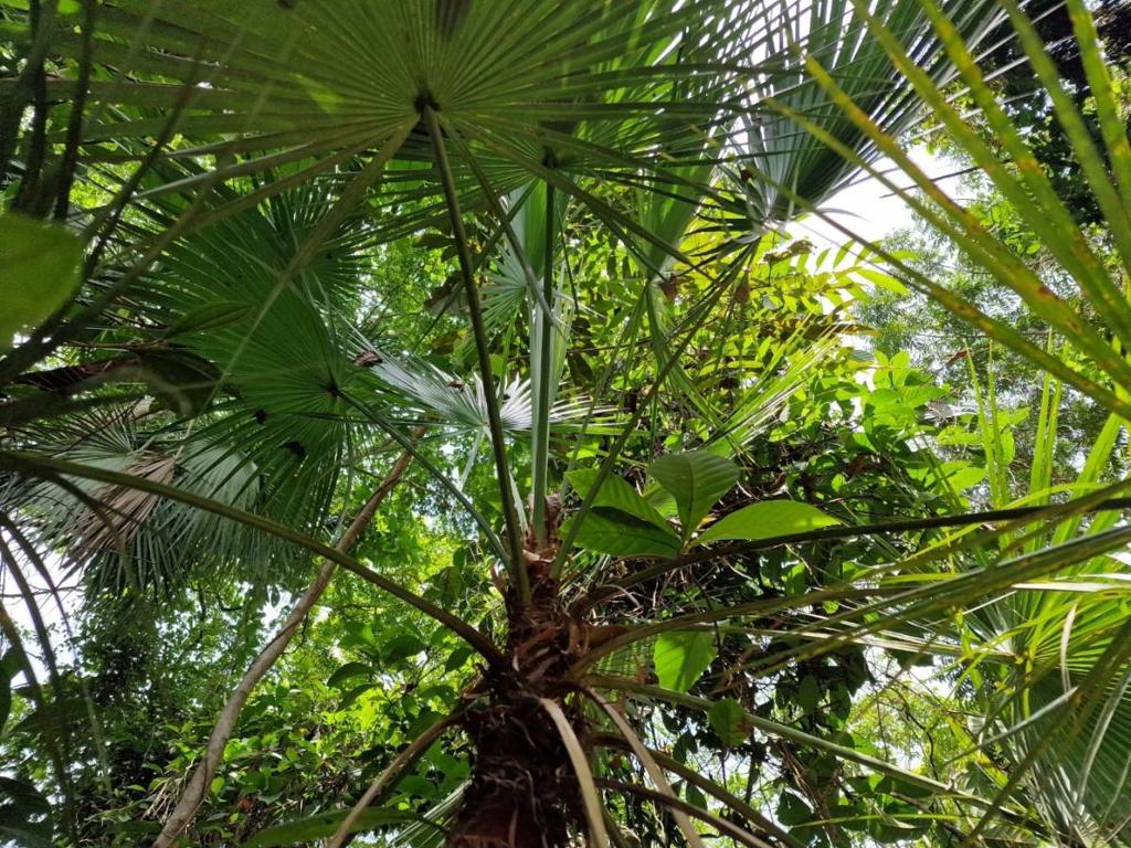 listing image with ID 63967