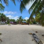 listing image thumbnail with ID 65771