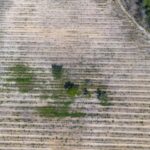 listing image thumbnail with ID 65297