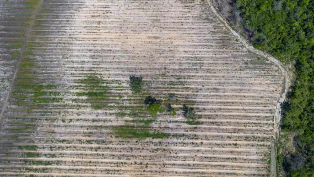 listing image with ID 65297