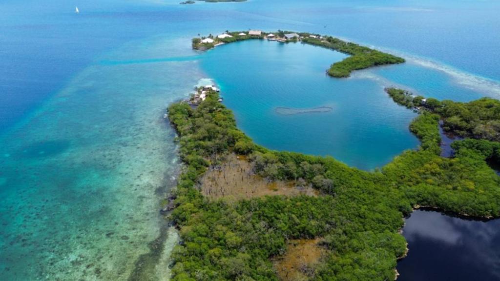 listing image with ID 66848