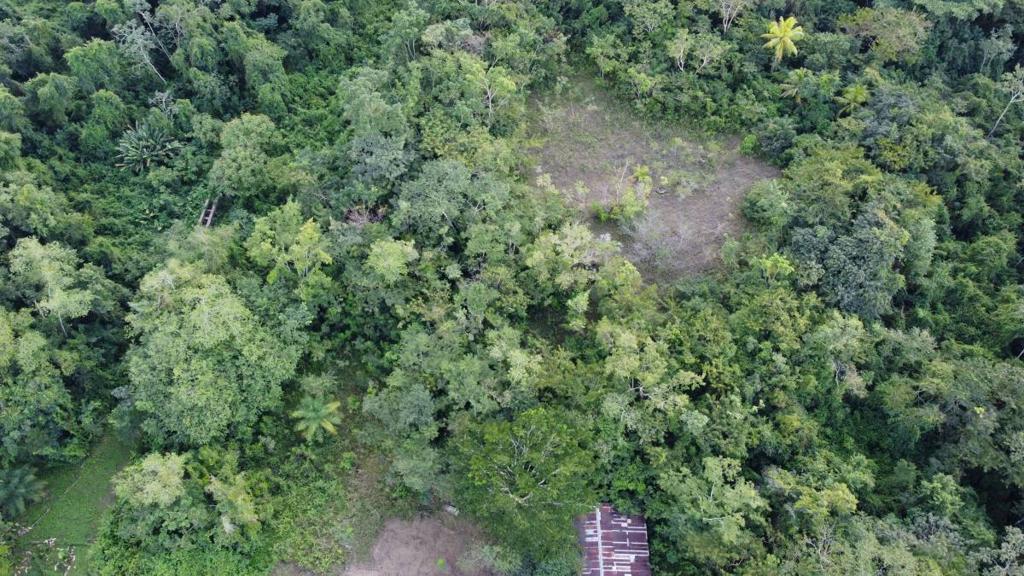 listing image with ID 64254