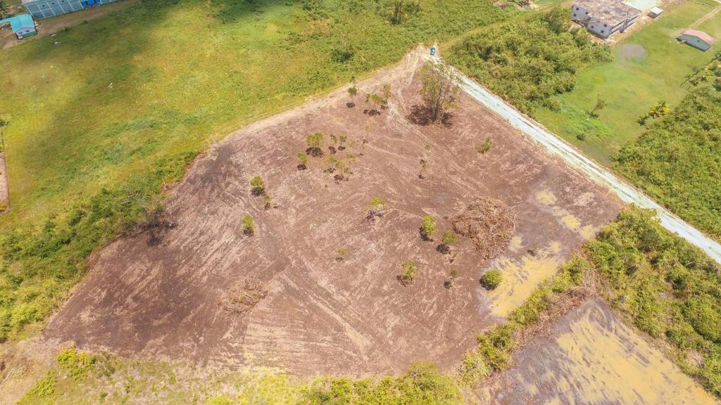 listing image with ID 67023