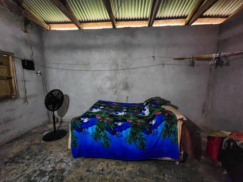 listing image with ID 64383