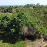 listing image thumbnail with ID 67054