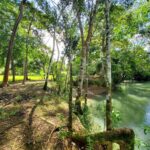 listing image thumbnail with ID 67347