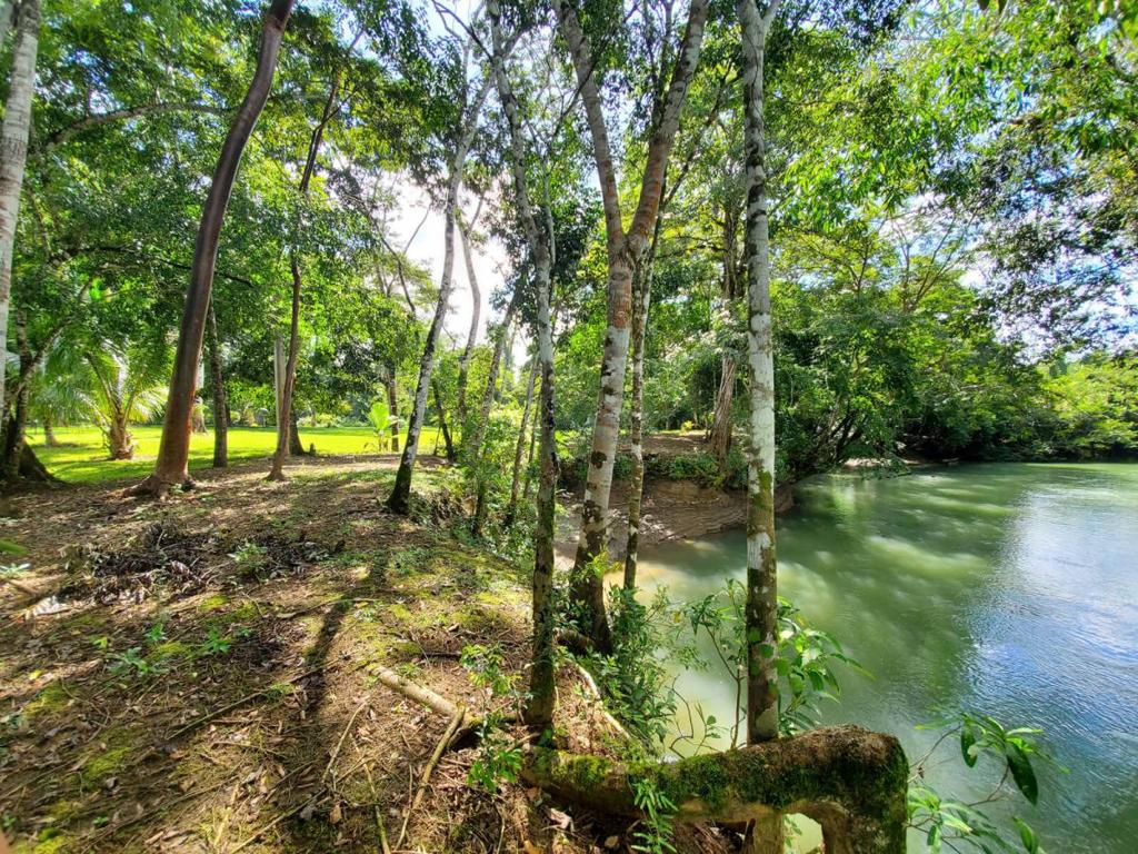 listing image with ID 67347