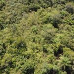 listing image thumbnail with ID 63766