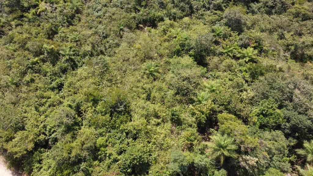 listing image with ID 63766