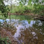 listing image thumbnail with ID 67543