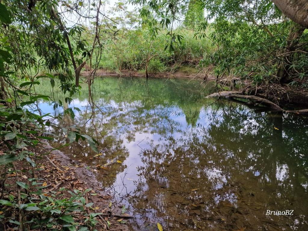 listing image with ID 67543