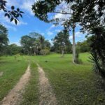 listing image thumbnail with ID 66694