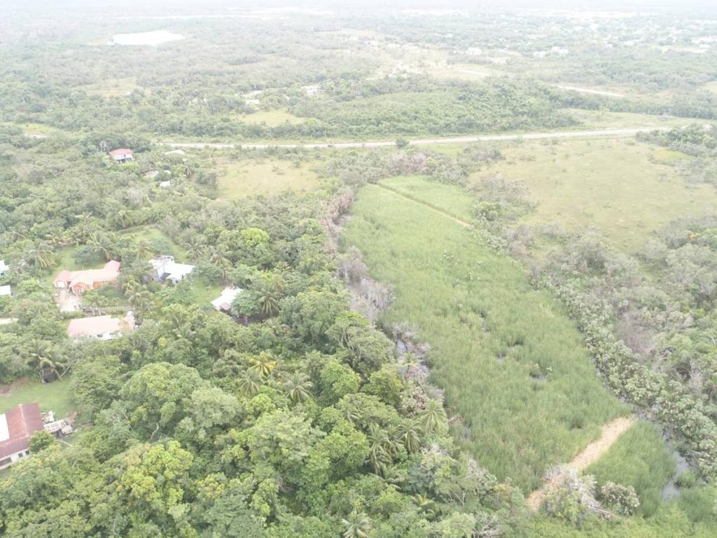 listing image with ID 64053