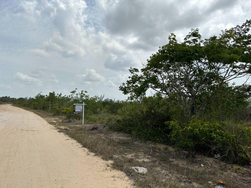 listing image with ID 67915