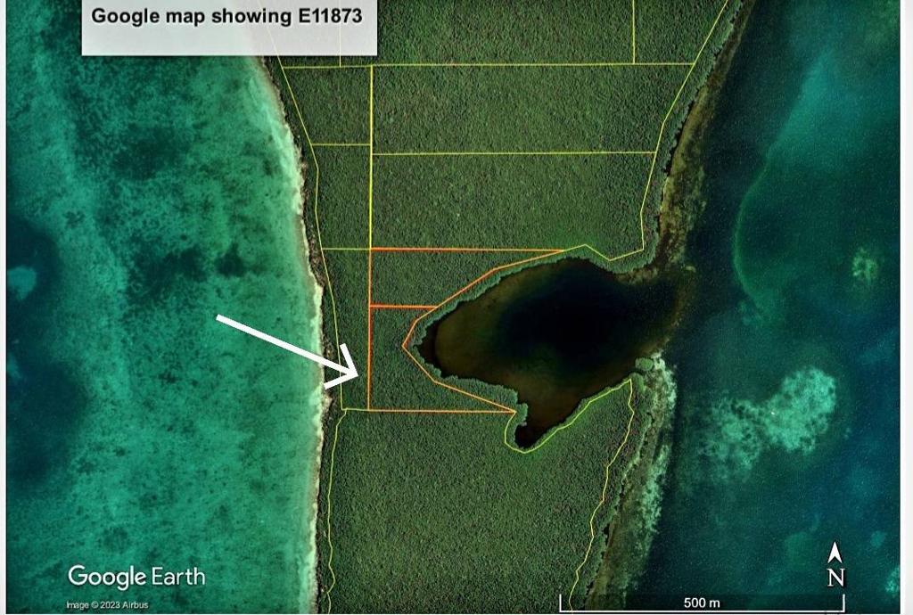 listing image with ID 67058