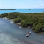 listing image thumbnail with ID 65398