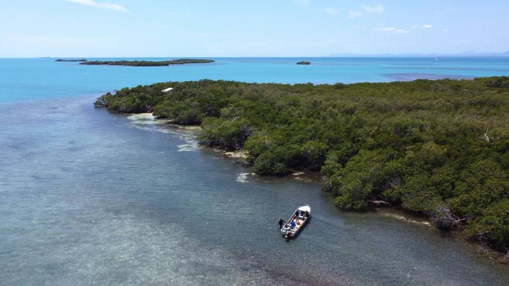 listing image with ID 65398