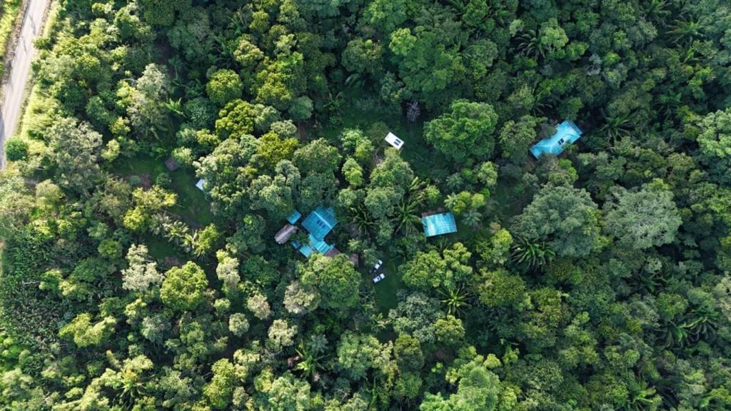 listing image with ID 66874