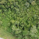 listing image thumbnail with ID 66583