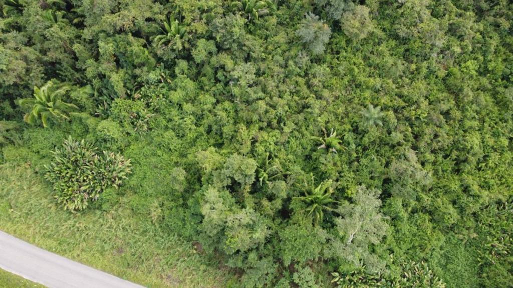 listing image with ID 66583