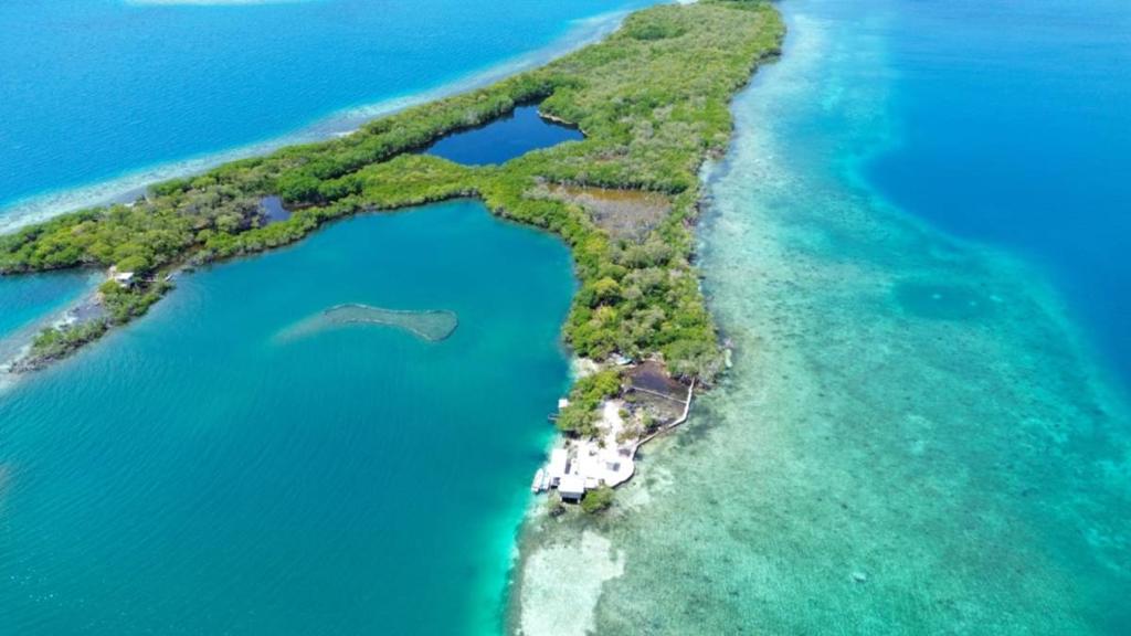 listing image with ID 66870