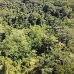 listing image thumbnail with ID 64249